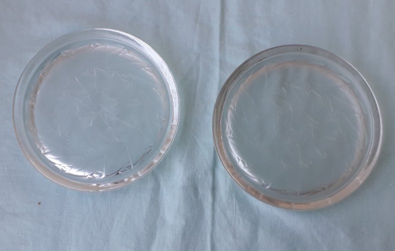 2 dessous de bouteille en verre