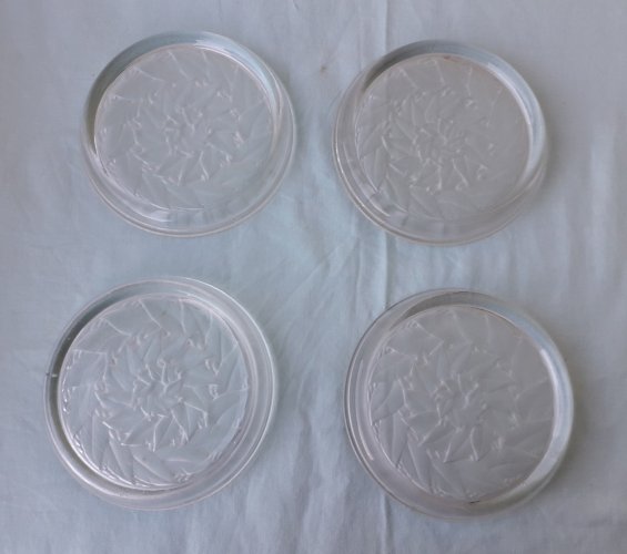 2 dessous de bouteille en verre