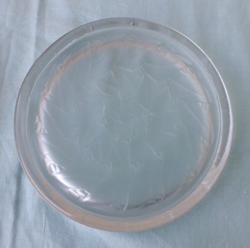 2 dessous de bouteille en verre