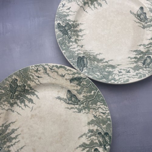 2 grandes assiettes plats SARREGUEMINES U&C décor NEIGE oiseaux Diam.~26 & 27cm