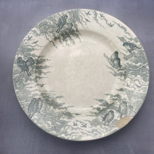 2 grandes assiettes plats SARREGUEMINES U&C décor NEIGE oiseaux Diam.~26 & 27cm