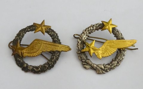 - 2 AIR FORCE ARMY RADIO STUDENT BADGE INSIGNIA MILITARIA COLLECTION DISPLAY D
