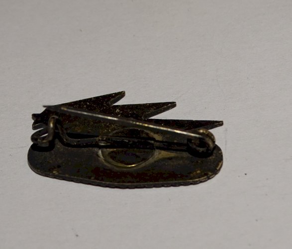 -2 INSIGNES TROUPES MOTORISEES CHARS de COMBAT COLLECTION MILITARIA VITRINE   D