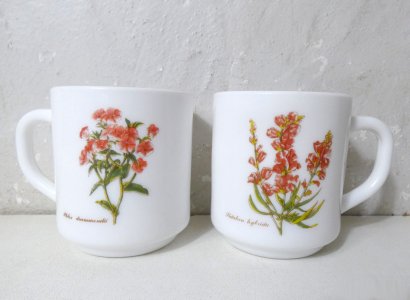 2 mugs arcopal botanique vintage
