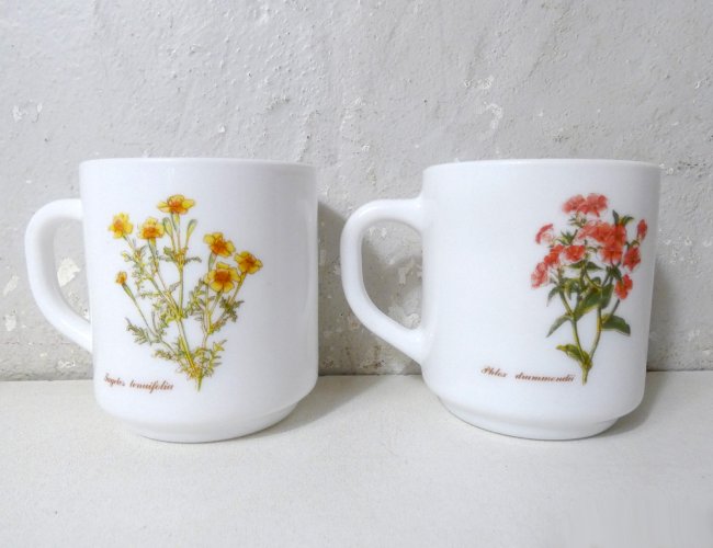 2 mugs arcopal botanique vintage