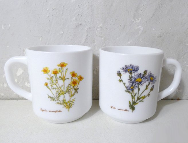 2 mugs arcopal botanique vintage