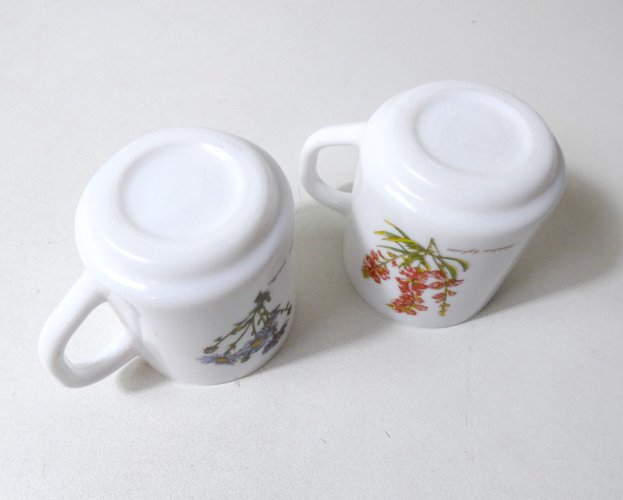 2 mugs arcopal botanique vintage