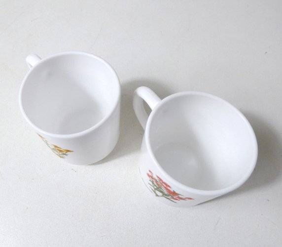 2 mugs arcopal botanique vintage
