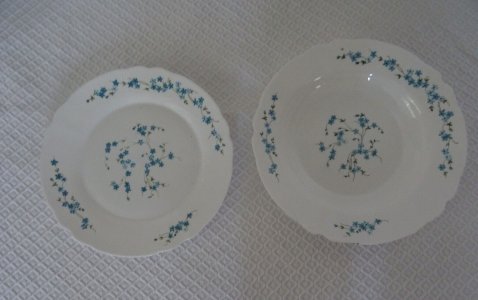  2 plats  ronds 601023 veronica  fleurs bleues ARCOPAL