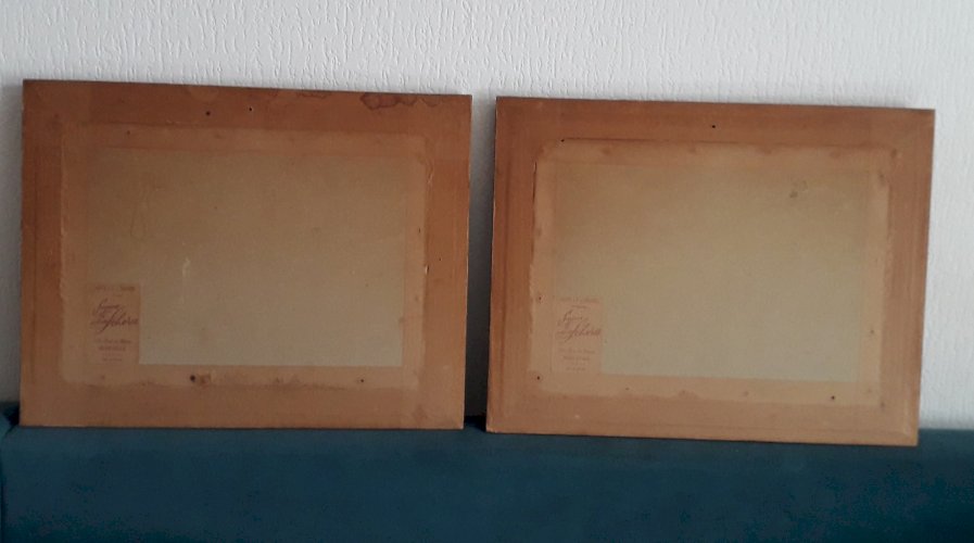 2 Tableaux peintures paysages