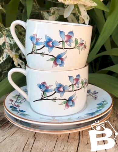 2 Tasses et soucoupes vintage Woodhill neuves