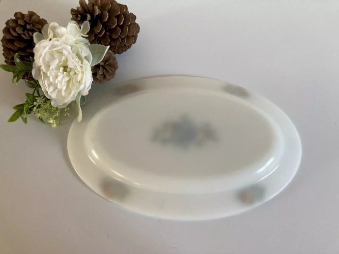 20⚜️ Ancien Plat Ovale Arcopal France Décor Fruit en Verre Opale Vintage