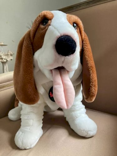 22 ⚜️ Grande Peluche Doudou Le Chien Basset Télé Z Publicitaire Jemini H 37 Cm