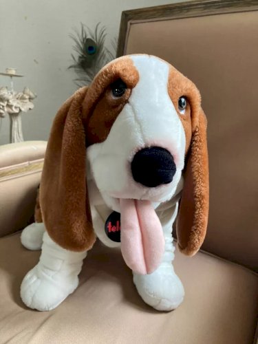 22 ⚜️ Grande Peluche Doudou Le Chien Basset Télé Z Publicitaire Jemini H 37 Cm