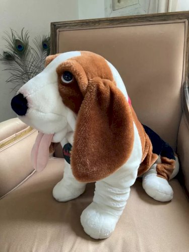 22 ⚜️ Grande Peluche Doudou Le Chien Basset Télé Z Publicitaire Jemini H 37 Cm