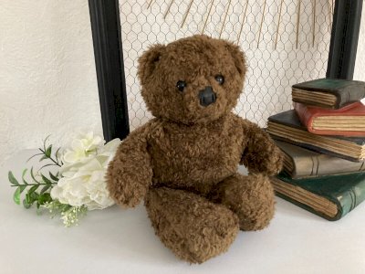 225⚜️ Soft Toy Cuddle Bear Good Night Little Ones Claude Laydu 1994 Masport