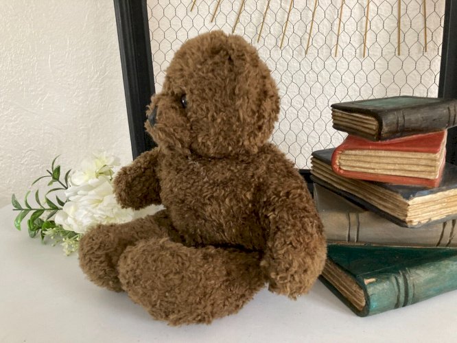 225⚜️ Peluche Doudou Nounours Bonne Nuit Les Petits Claude Laydu 1994 Masport