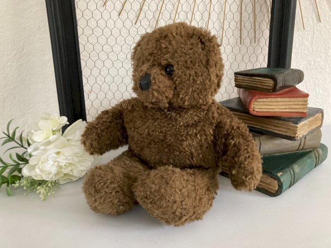 225⚜️ Peluche Doudou Nounours Bonne Nuit Les Petits Claude Laydu 1994 Masport