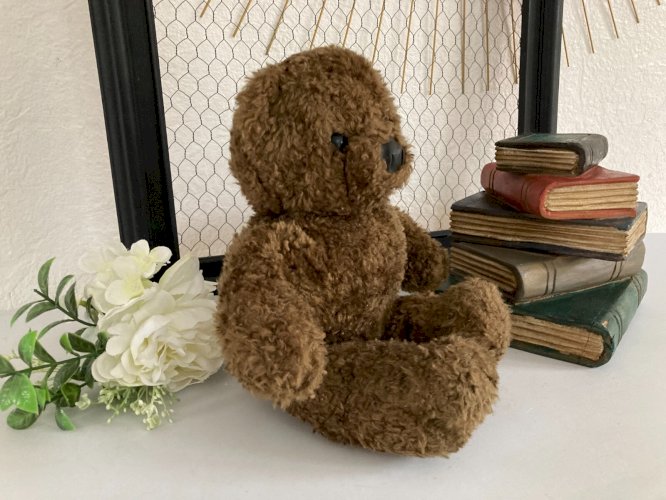 225⚜️ Peluche Doudou Nounours Bonne Nuit Les Petits Claude Laydu 1994 Masport