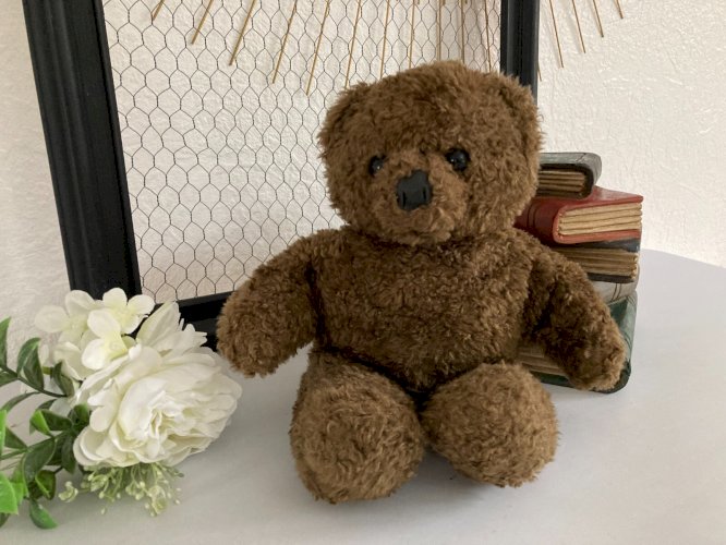 225⚜️ Peluche Doudou Nounours Bonne Nuit Les Petits Claude Laydu 1994 Masport