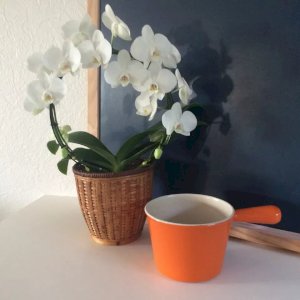 dot