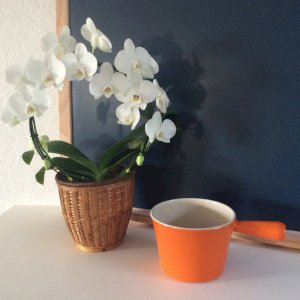 23 ⚜️ Ancien Poêlon Le Creuset En Fonte émaillée Made In France Orange Vintage