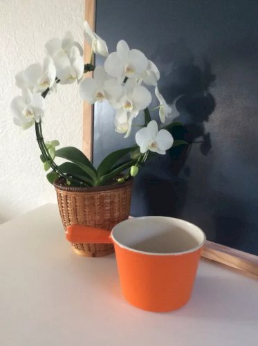 23 ⚜️ Ancien Poêlon Le Creuset En Fonte émaillée Made In France Orange Vintage