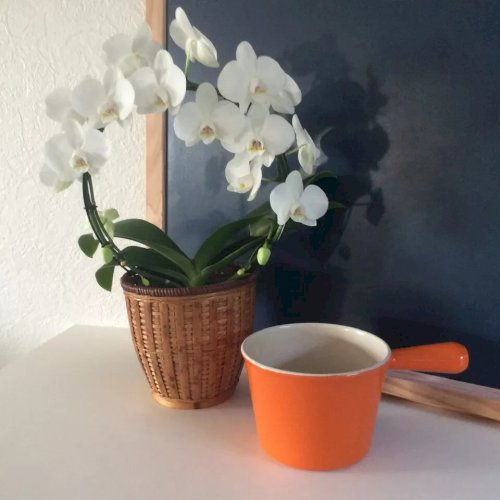 23 ⚜️ Ancien Poêlon Le Creuset En Fonte émaillée Made In France Orange Vintage