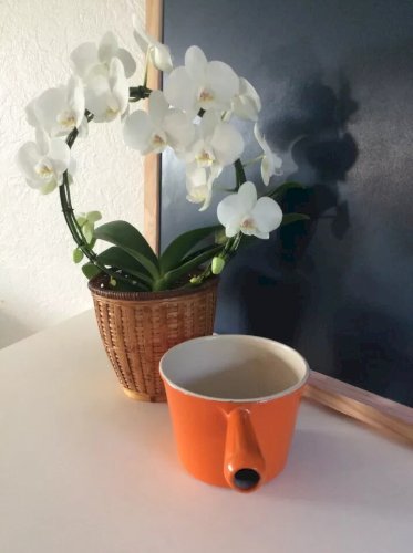 23 ⚜️ Ancien Poêlon Le Creuset En Fonte émaillée Made In France Orange Vintage