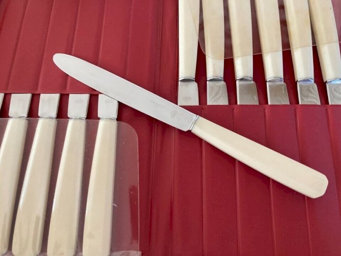 27⚜️ Ancien Lot De 12 Coteaux Rigault Nogent Inox JCF Vintage