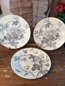 3 dessert plates Creil Montereau model Églantines