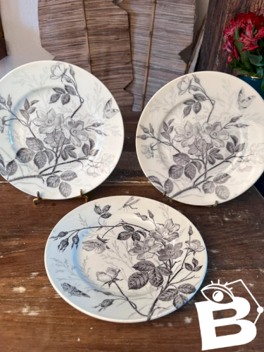 3 assiettes à dessert Creil Montereau modèle Églantines