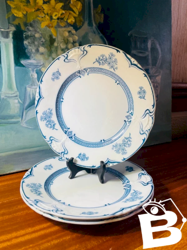 3 assiettes Terre de Fer « Manon » 26cm