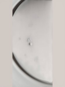 dot
