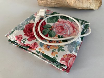 325⚜️ Ancien Chauffe Assiettes Électrique Décors Fleurs Astoria Vintage