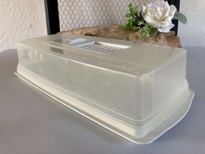 325⚜️ Cloche Plateau à Fromages, Cave à Fromage Tefal en Plastique Blanc