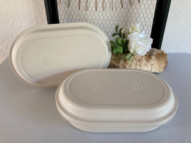 325⚜️ Plat Ovale Cuiseur Vapeur Tupperware Micro Onde Plastique Longueur 30 Cm