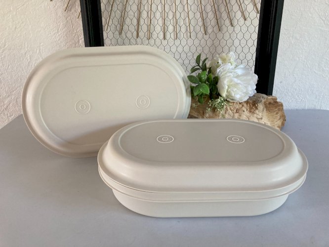325⚜️ Plat Ovale Cuiseur Vapeur Tupperware Micro Onde Plastique Longueur 30 Cm