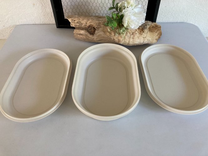 325⚜️ Plat Ovale Cuiseur Vapeur Tupperware Micro Onde Plastique Longueur 30 Cm