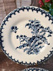 dot