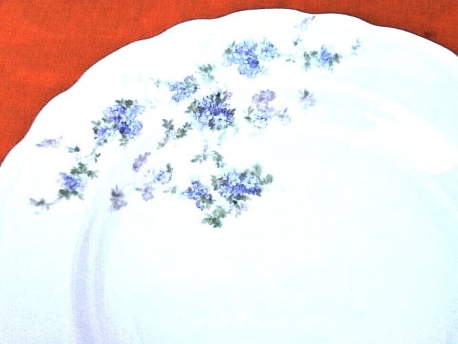 4 assiettes creuses Porcelaine blanche décor floral Porcelaine Ancap Sona Verona Italy 