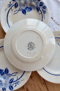 dot