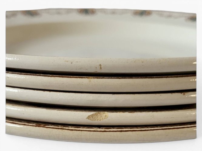 5 assiettes creuses Léon Graves Clairefontaine