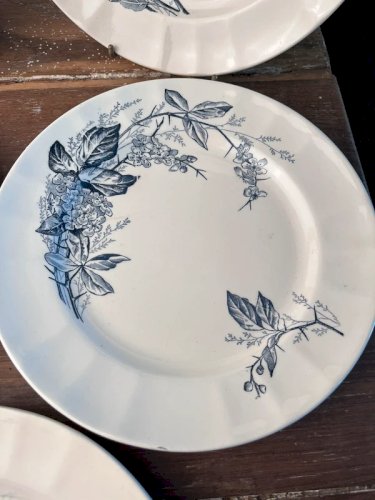 5 assiettes Longchamp en terre de fer