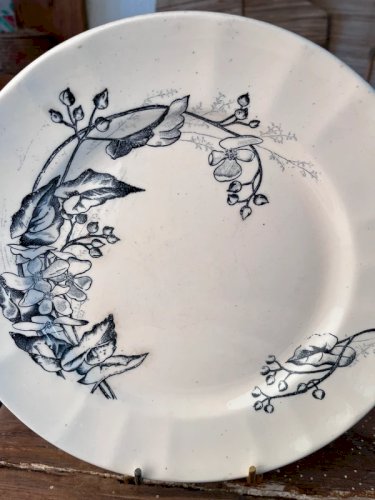 5 assiettes Longchamp en terre de fer