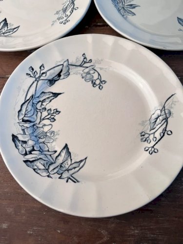 5 assiettes Longchamp en terre de fer