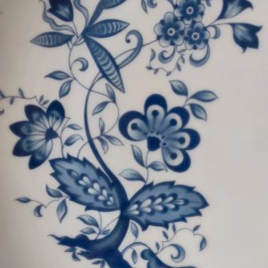 dot