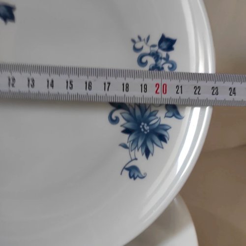 5 assiettes plates en porcelaine de Limoges, Feuillade France, décor inaltérable