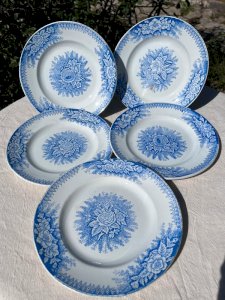 5 flat plates Saint-Amand and Hamage model Jardinière