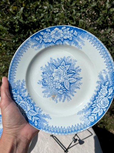 5 assiettes plates Saint-Amand et Hamage modèle Jardinière